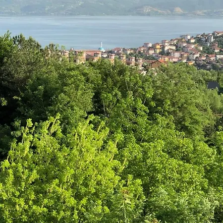 Camping Dag Evi ,2 Oda, View, Fireplace Jakuzi,6 Person *