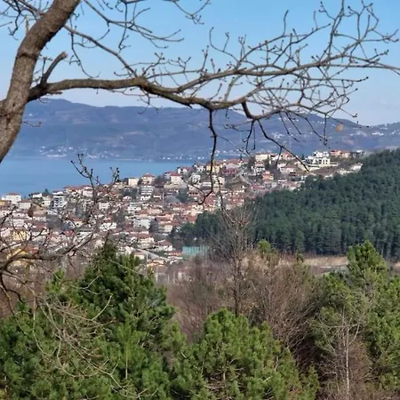 Dag Evi ,2 Oda, View, Fireplace Jakuzi,6 Person * Sapanca